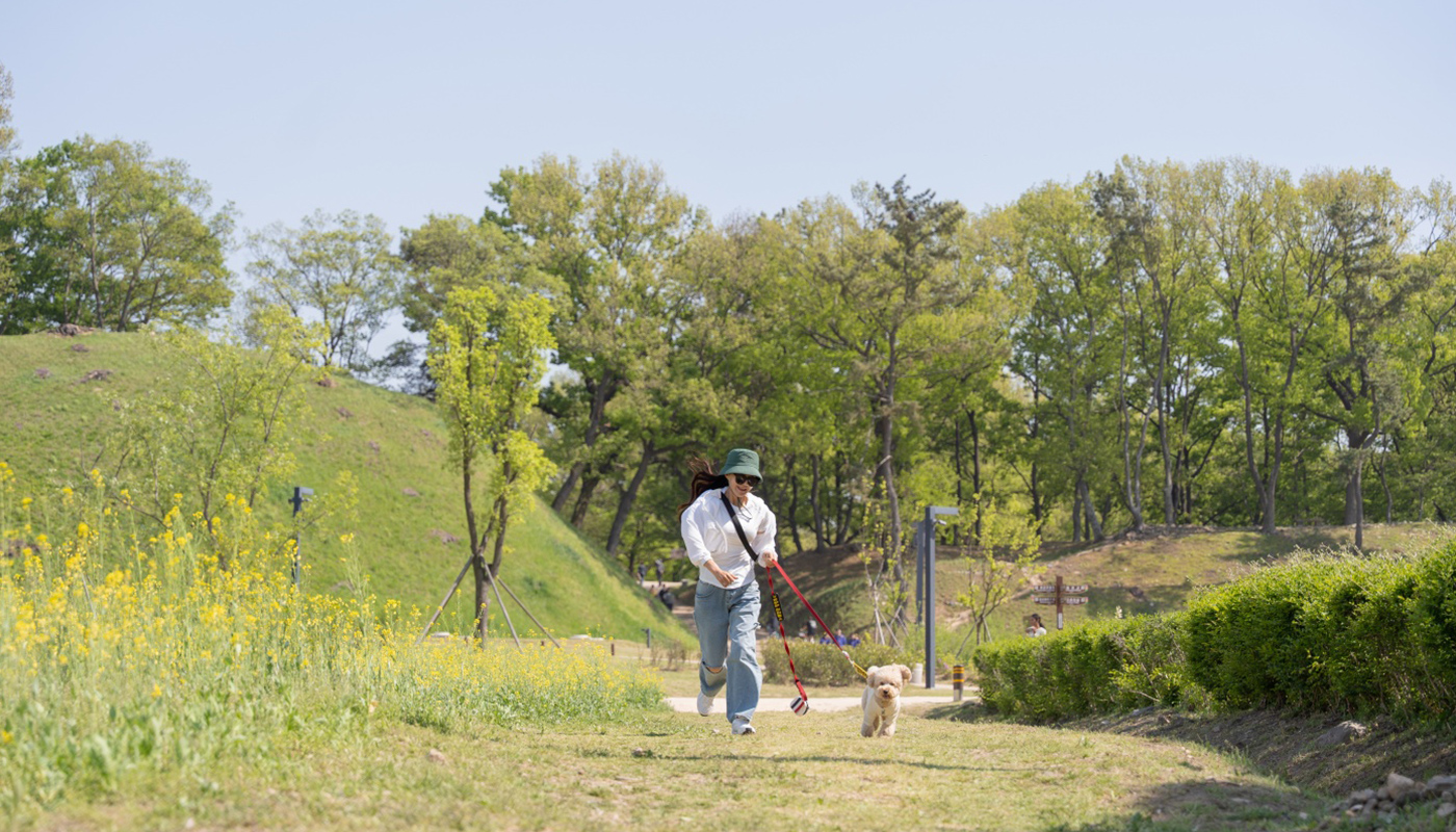 경주댕댕투어 2