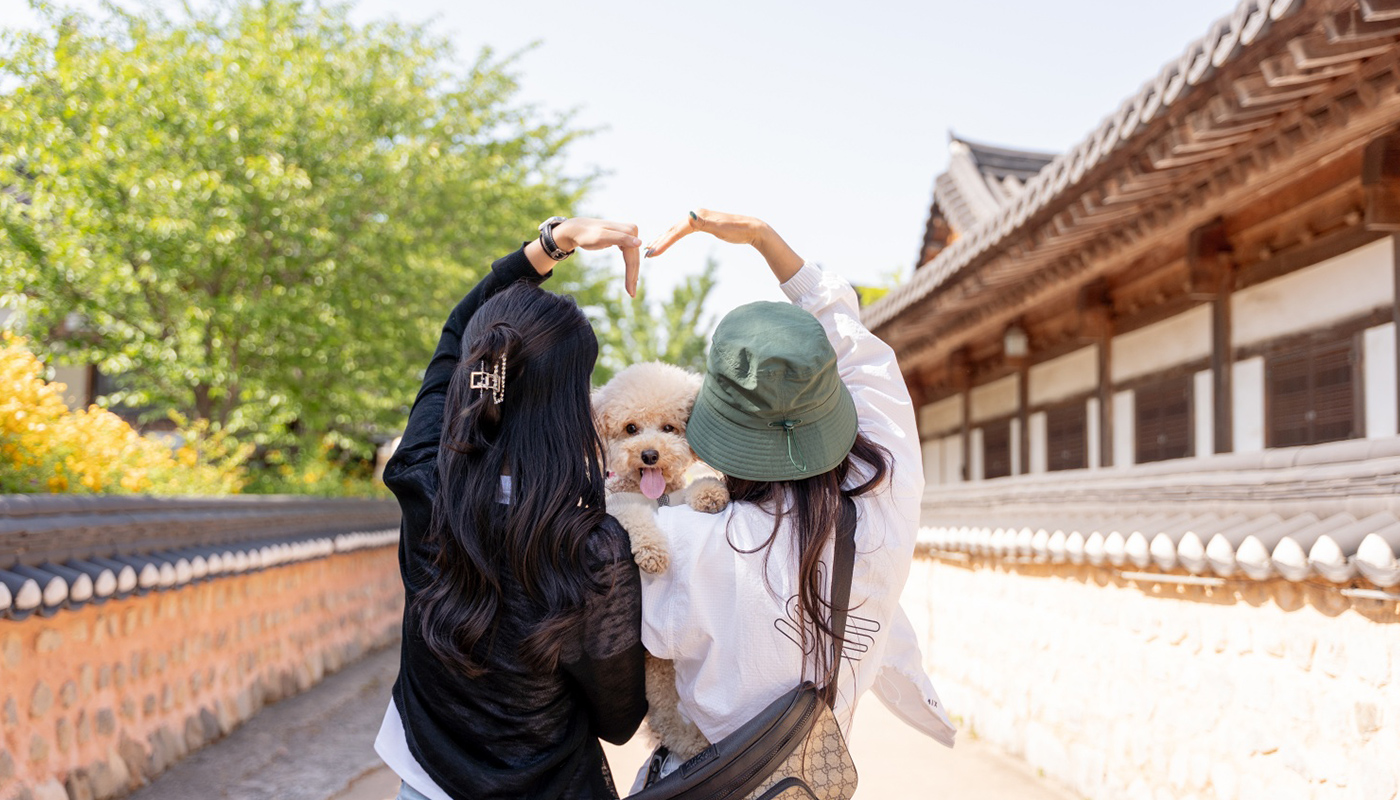 경주댕댕투어 3