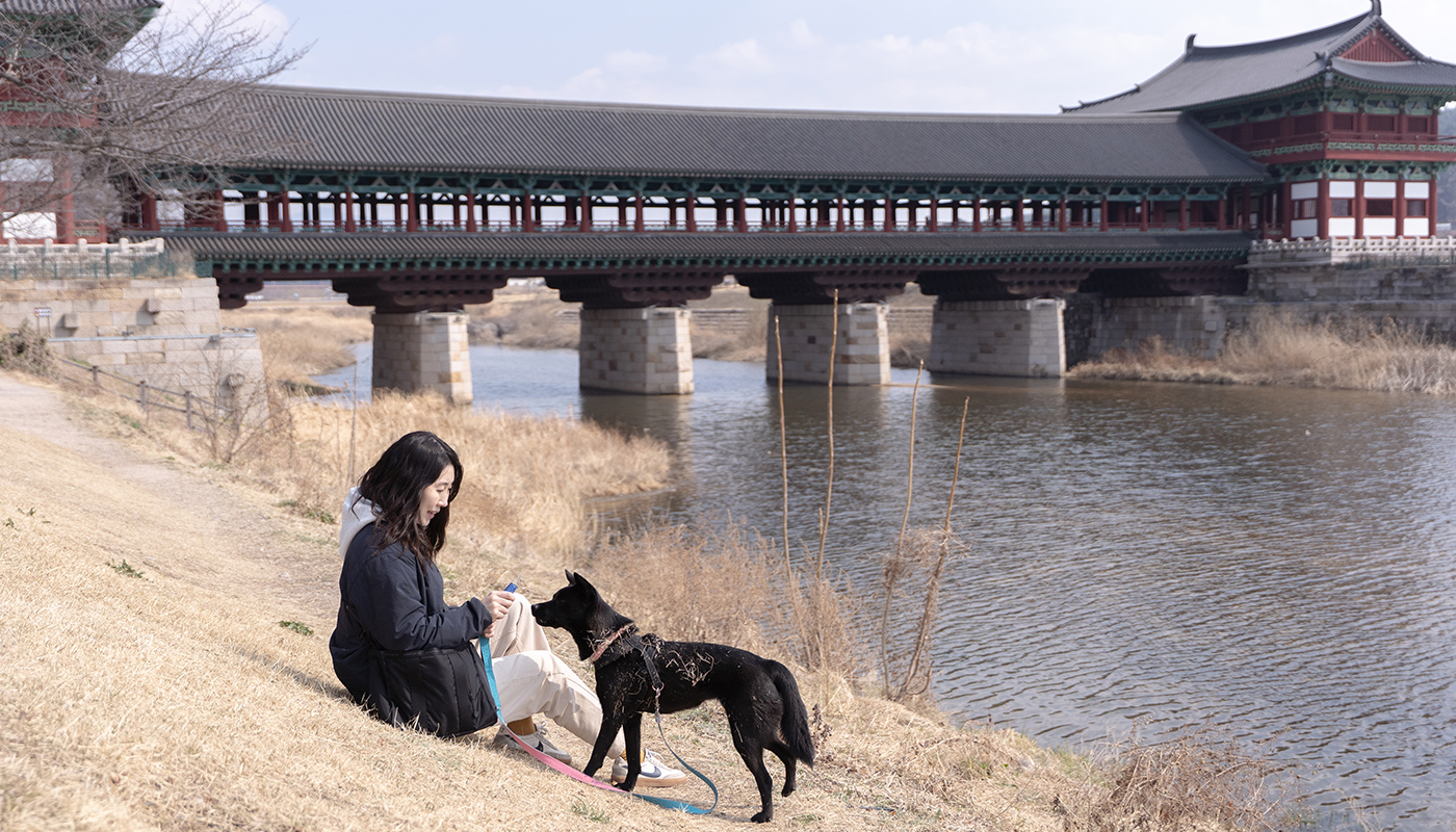 경주댕댕투어 7