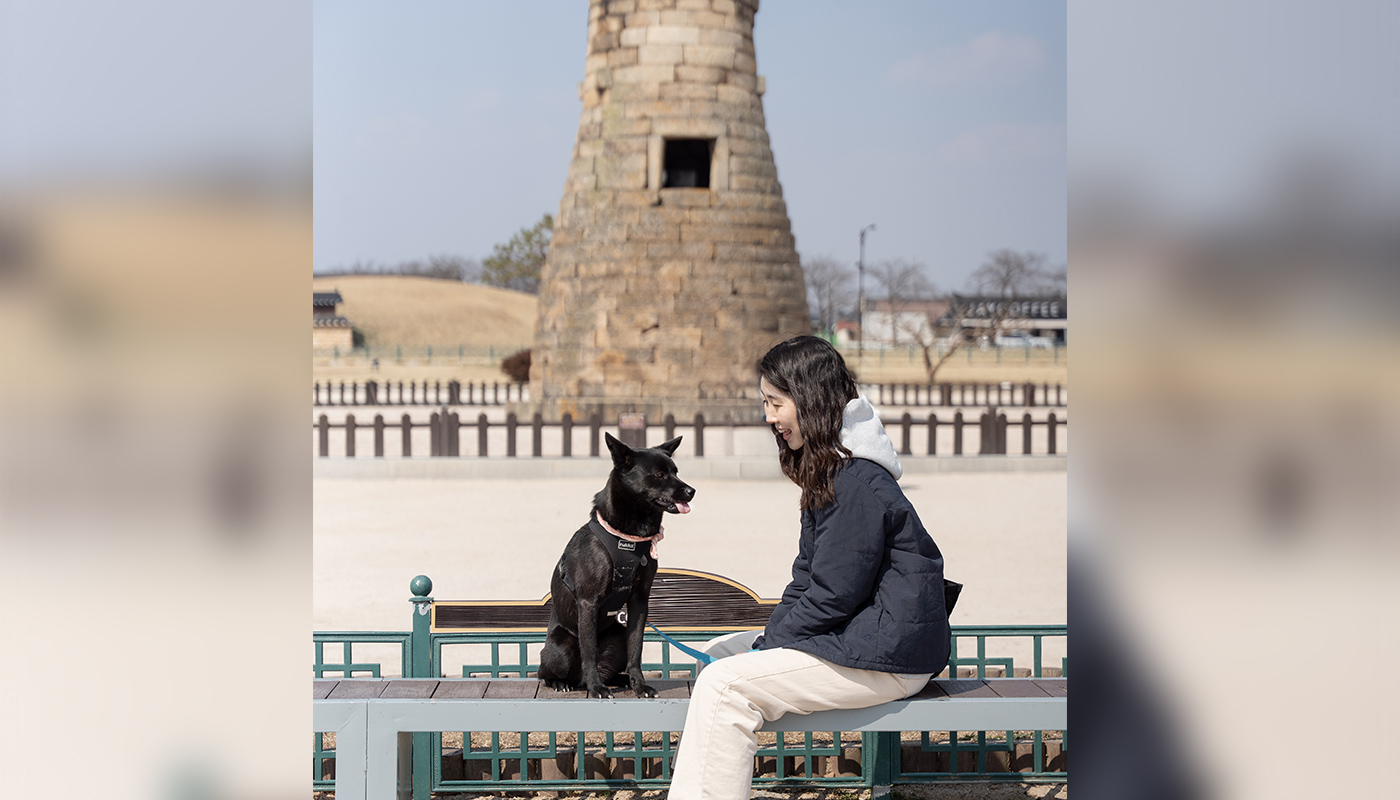 경주댕댕투어 8